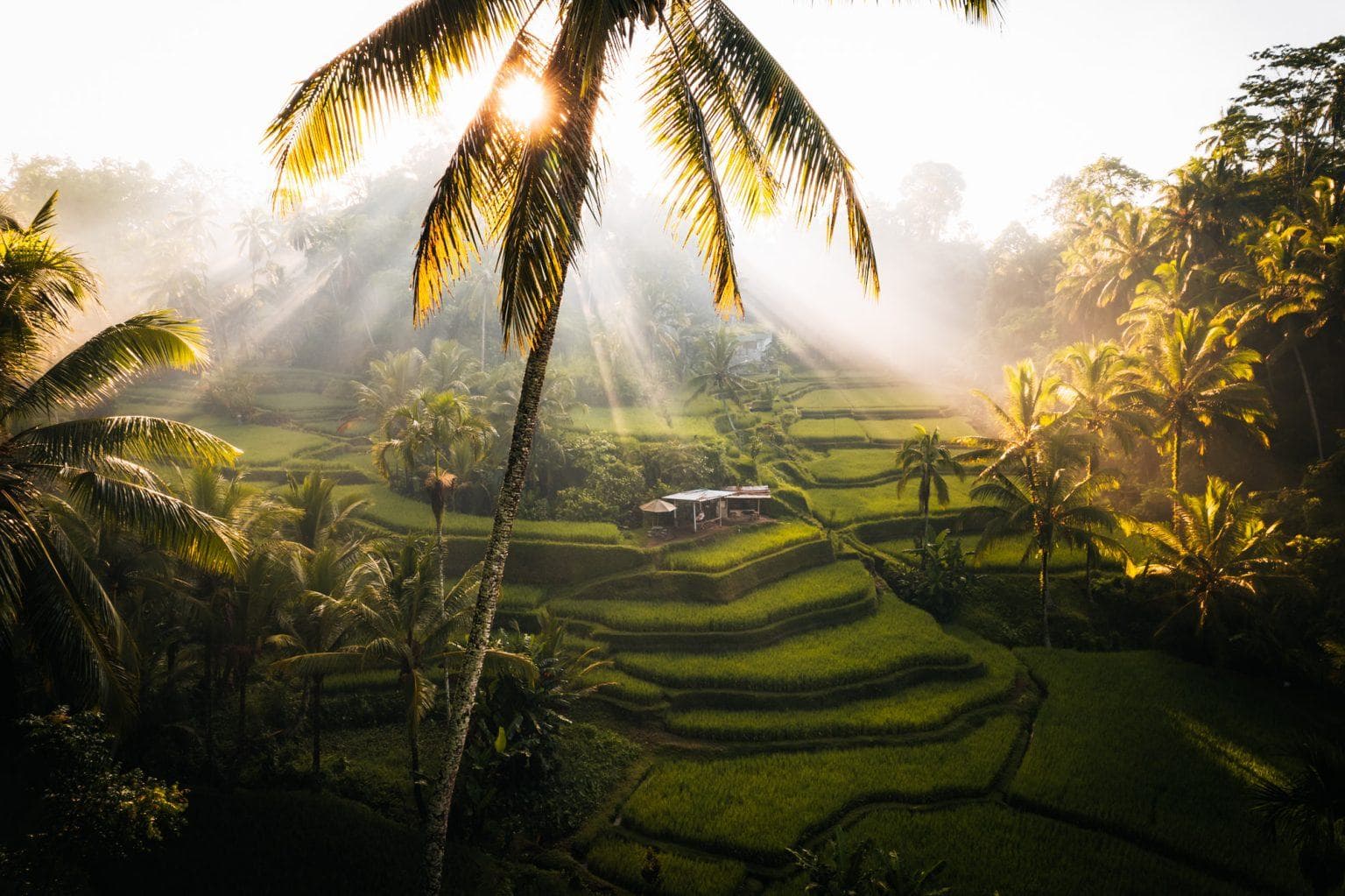 The Heart of Bali Full Day Tour